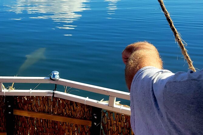 2 hour Dolphin Sightseeing Tour in Melbourne Florida - Why This Tour Offers Value for Money