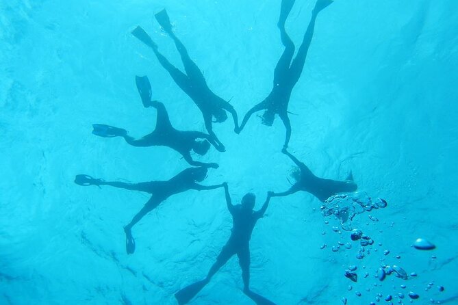 2-Hour Dolphin Watching and Double Reef with Snorkel in Hawaii - Best For Who and What to Consider