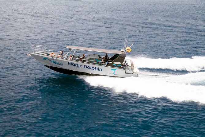 2-Hour Dolphin Watching Experience in Fuerteventura - Who Will Enjoy This Dolphin Watching Tour?