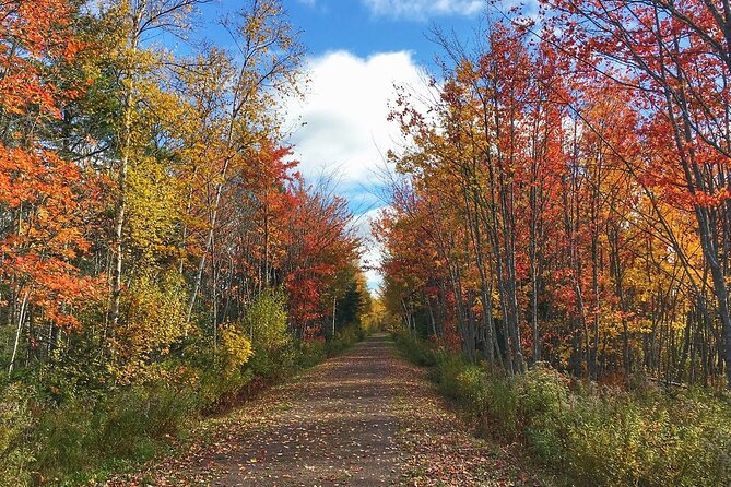 2 Hour E-Bike Tour of Charlottetown - Explore Charlottetown on a 2.5-Hour E-Bike Tour