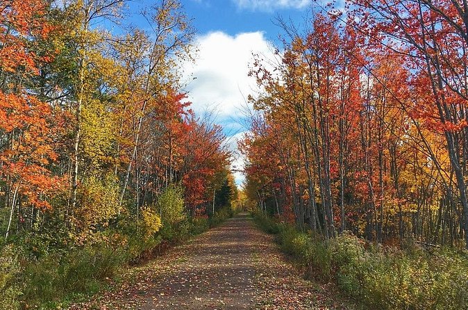 2 Hour E-Bike Tour of Charlottetown - Riding on the Confederation Trail