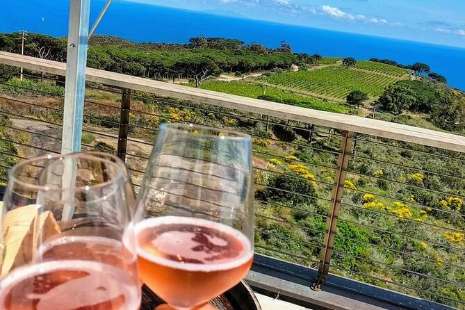 2-Hour e-bike Tour with Wine Tasting in Tenuta delle Ripalte - Relaxing with Wine on the Roof of the Design Cellar