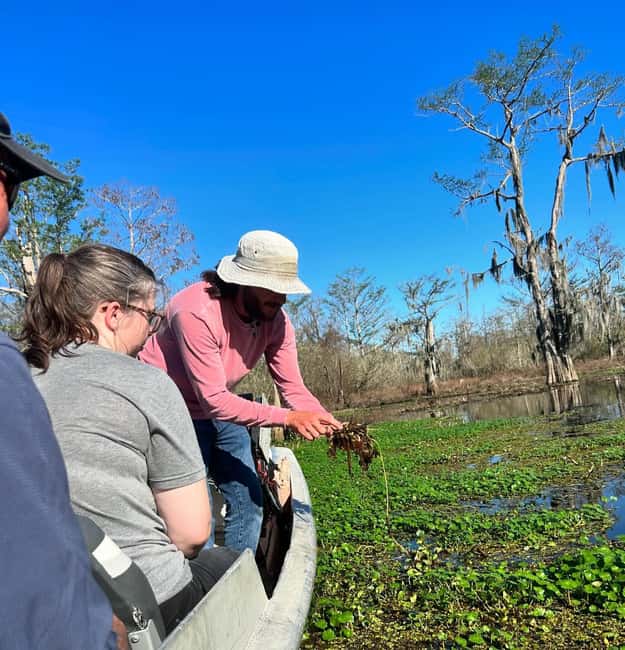 2-hour Eco-Swamp Tour - Practical Tips for a Comfortable Trip