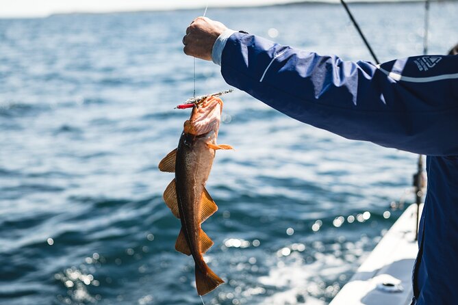 2 Hour Fishing Experience in Halifax - Family-Friendly and Suitable for All Ages