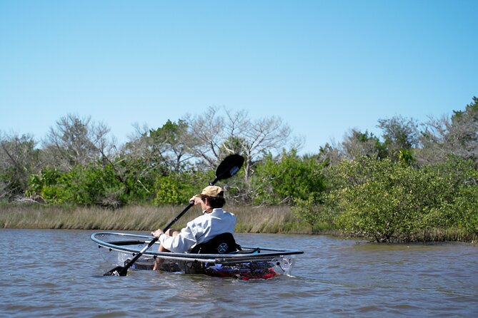 2-Hour Glass Bottom Guided Eco Tour in Flagler County-Small-group - Meeting Point and Practical Details for a Smooth Experience