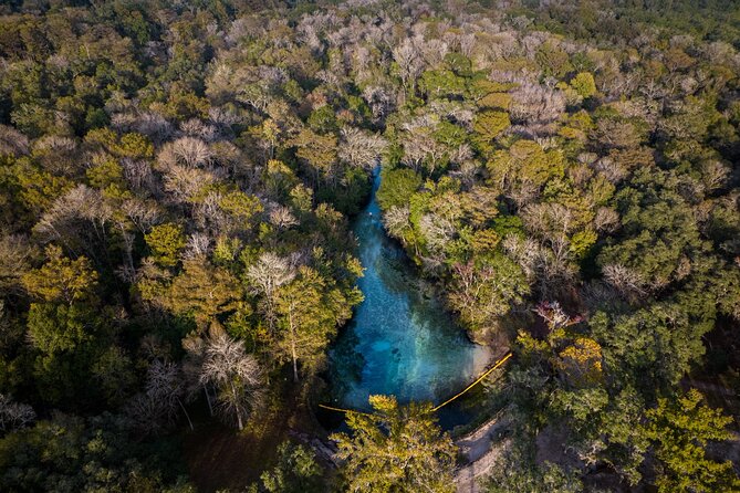 2 Hour Glass Bottom Guided Kayak Eco Tour in Gilchrist Blue - Experiencing the Beauty of Blue Springs Park
