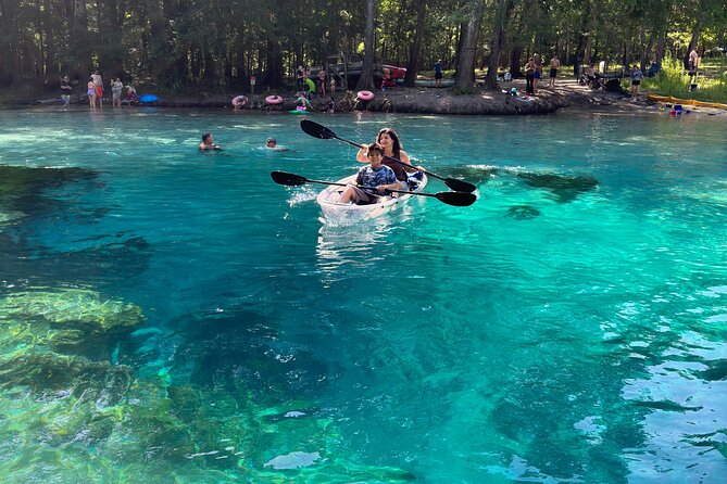 2 Hour Glass Bottom Guided Kayak Eco Tour in Gilchrist Blue - Equipment and Safety Gear Included in the Tour