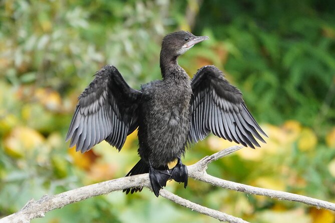 2 Hour Group Boat Trip in Skadar Lake - Exploring Skadar Lake’s Lesendro Fortress and Peninsula