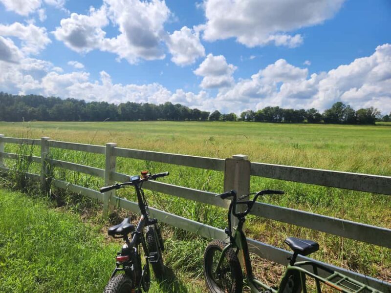 2 hour Guided E-bike Tour: Greenery, Scenery & Mindfulness - The Role of the Licensed Psychologist Guide