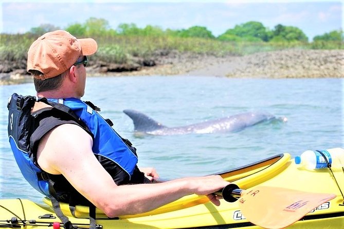 2-Hour Guided Kayak Eco Tour in Charleston - Explore Charlestons Tidal Marshes with a Guided Kayak Adventure