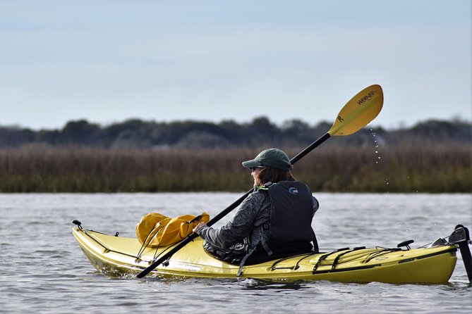 2-Hour Guided Kayak Eco Tour in Charleston - Key Points