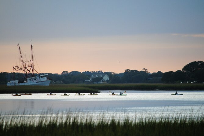 2-Hour Guided Kayak Eco Tour in Charleston - What to Bring and How to Prepare