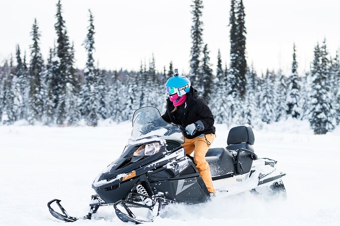 2-Hour Guided Snowmobile Tour in Fairbanks - Starting Point and Meeting Details in Fairbanks