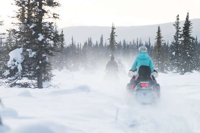 2-Hour Guided Snowmobile Tour in Fairbanks - Safety and Age Restrictions