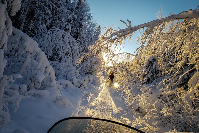 2-Hour Guided Snowmobile Tour in Fairbanks - Customer Experience and Feedback