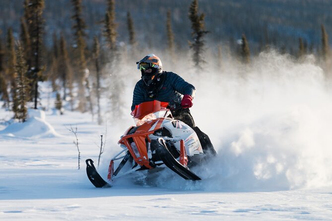 2-Hour Guided Snowmobile Tour in Fairbanks - Additional Activities and Future Options