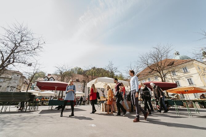 2 Hour Guided Walking Tour in Ljubljana - Visiting Robbov vodnjak and Baroque Art