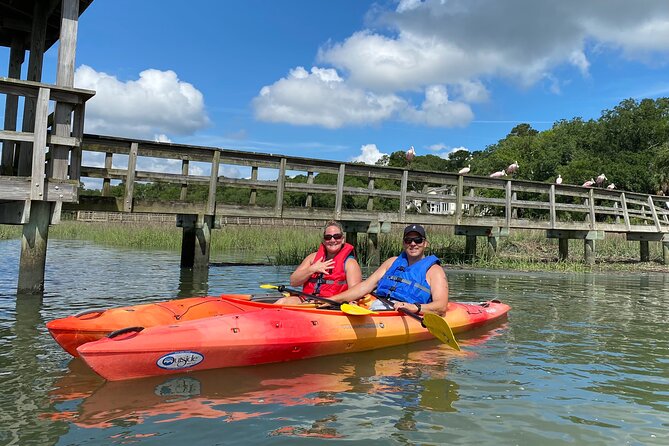 2-Hour Hilton Head Guided Kayak Nature Tour - Experience the Best of Hilton Head’s Nature in Just 2 Hours
