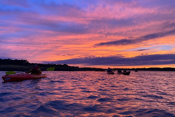 2-Hour Hilton Head Guided Kayak Nature Tour - Wildlife Spotting: Dolphins and Birdlife Abound