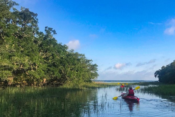 2-Hour Hilton Head Guided Kayak Nature Tour - Weather Considerations and Safety Protocols