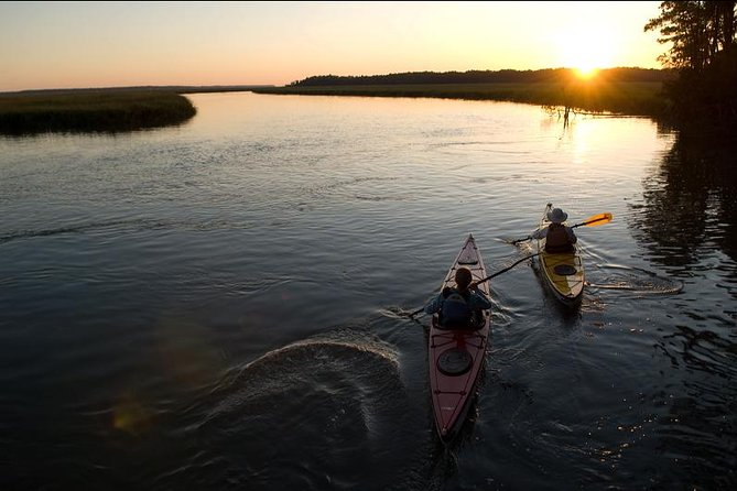 2-Hour Hilton Head Guided Kayak Nature Tour - Family-Friendliness and Accessibility