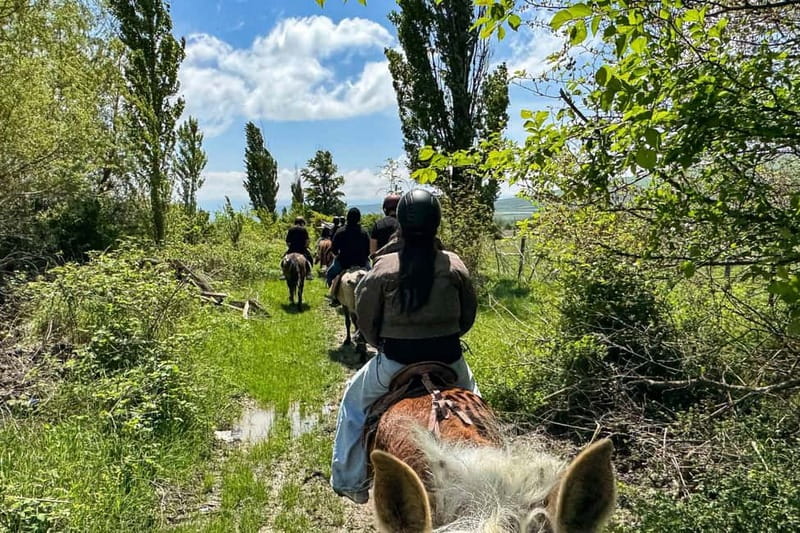 2-hour horse riding tour at Palomino Ranch Near Tbilisi - The Palomino Ranch Location and How to Get There