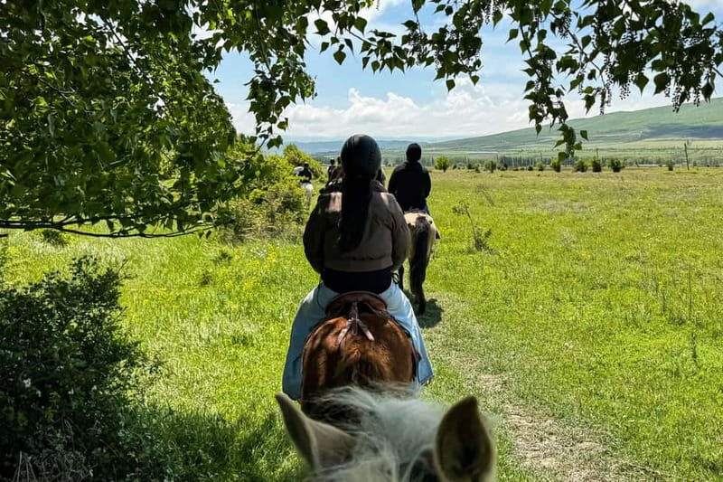 2-hour horse riding tour at Palomino Ranch Near Tbilisi - Riding through Georgian Meadows and Village Life