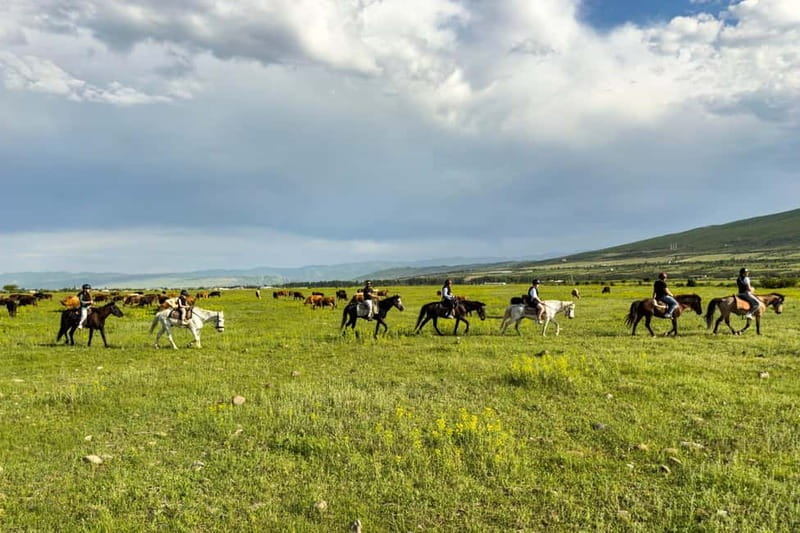 2-hour horse riding tour at Palomino Ranch Near Tbilisi - Galloping and Trotting Across Fields
