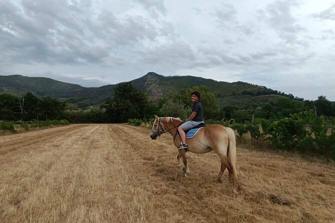 2 hour horseback ride for experts in Valgraziosa (Pisa) - Starting Point at Centro Ippico La Cartuja in Calci