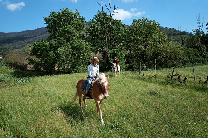 2 hour horseback ride for experts in Valgraziosa (Pisa) - Photoshoot and Memories