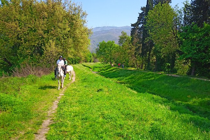 2 hour horseback ride for experts in Valgraziosa (Pisa) - What Makes This Tour Stand Out