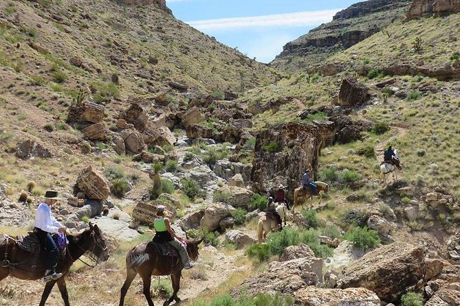 2-Hour Horseback Riding through Red Rock Canyon - Key Points