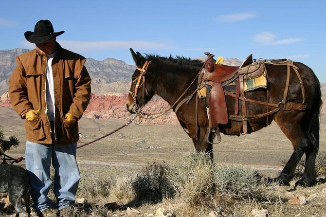 2-Hour Horseback Riding through Red Rock Canyon - The Rides Unique Features and Highlights