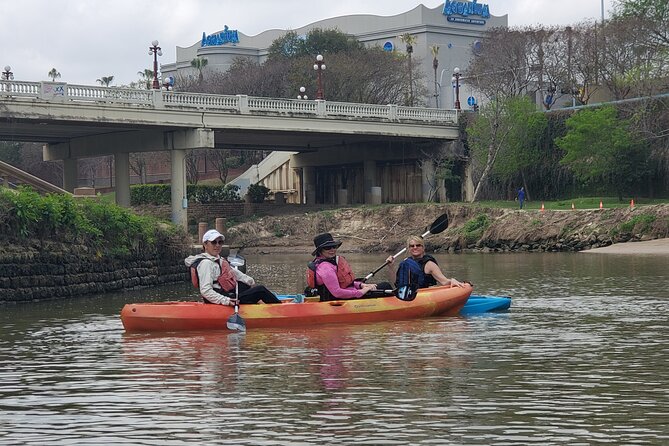 2-Hour Houston Skyline Tour - Ecological Elements and Conservation Efforts