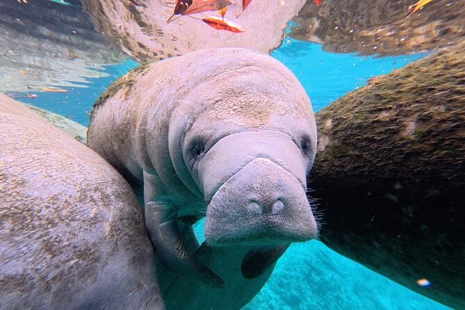 2 Hour Kayak Rental - Key Points