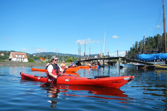 2- hour kayak trip on the Oslo Fjord - Why This Tour Stands Out in Oslo