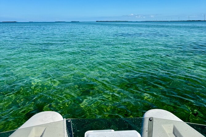 2 Hour Key West Mini Catamaran Eco Tour - The Mini Catamarans: Easy to Handle and Fun to Drive