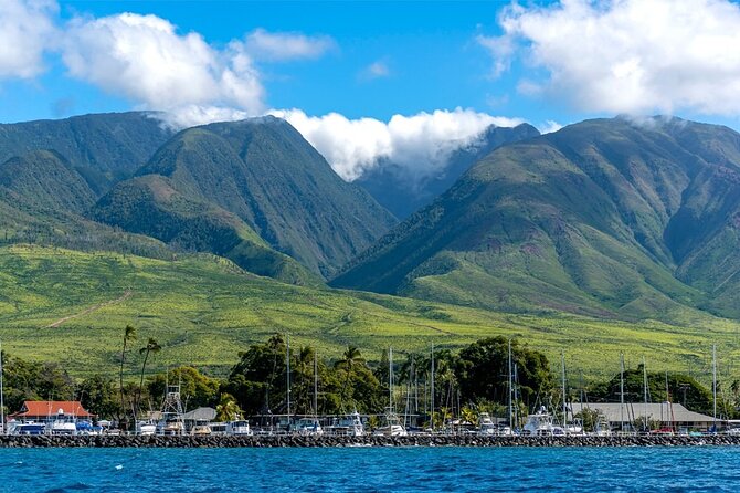 2 Hour Maui Dolphin Watch Sightsee Raft Tour (Semi-Private) - Snacks and Beverages on Board