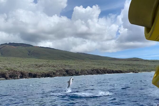 2 Hour Maui Dolphin Watch Sightsee Raft Tour (Semi-Private) - Weather, Cancellation, and Booking Flexibility
