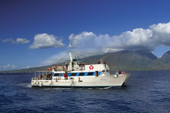 2-Hour Maui Whale Watch from Lahaina Harbor, Maui - Lahaina Harbor: The Starting Point for Maui Whale Tours