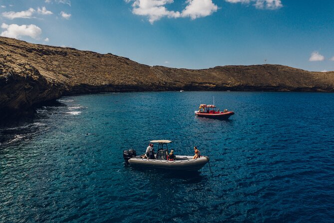 2-Hour Molokini Snorkel Trip - Value for Money and Overall Satisfaction