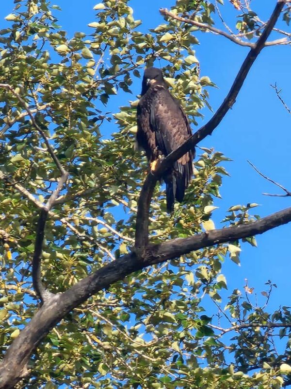 2-Hour Nature River Boat Tour on the Willamette River - Who Will Love This Tour?