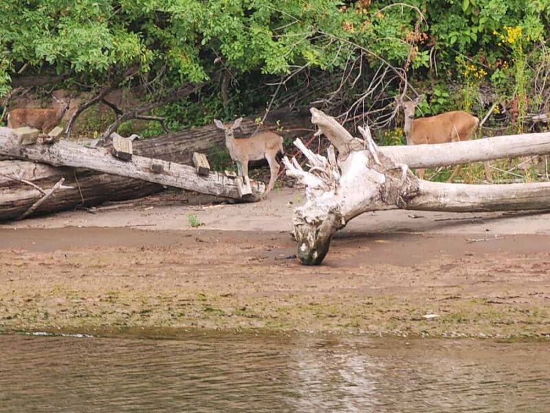 2-Hour Nature River Boat Tour on the Willamette River - Final Thoughts on the Willamette River Nature Tour