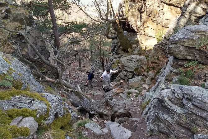 2-hour Private Alpine Hiking Tour on Seekopf Mountain, Wachau Valley from Vienna - Considerations for Physical Fitness and Safety