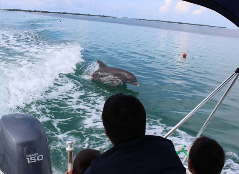 2 Hour Private Eco-Tour - Explore the Private Eco-Tour in Islamorada for Up to 6 People