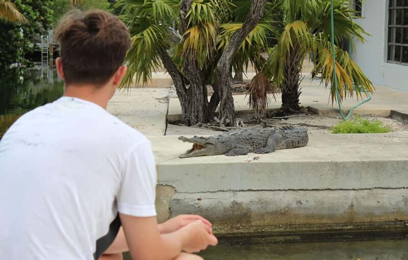 2 Hour Private Eco-Tour - Navigating the Mangroves of Islamorada