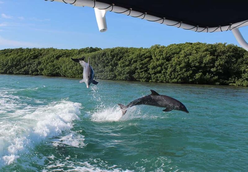 2 Hour Private Eco-Tour - Unique Stops: Alligator Lighthouse and Indian Key State Park