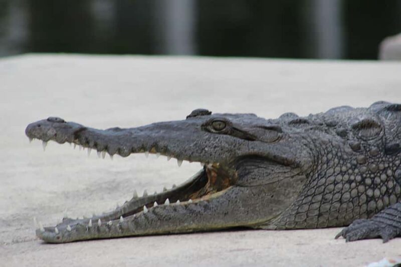 2 Hour Private Eco-Tour - Logistics and Flexibility for Your Schedule