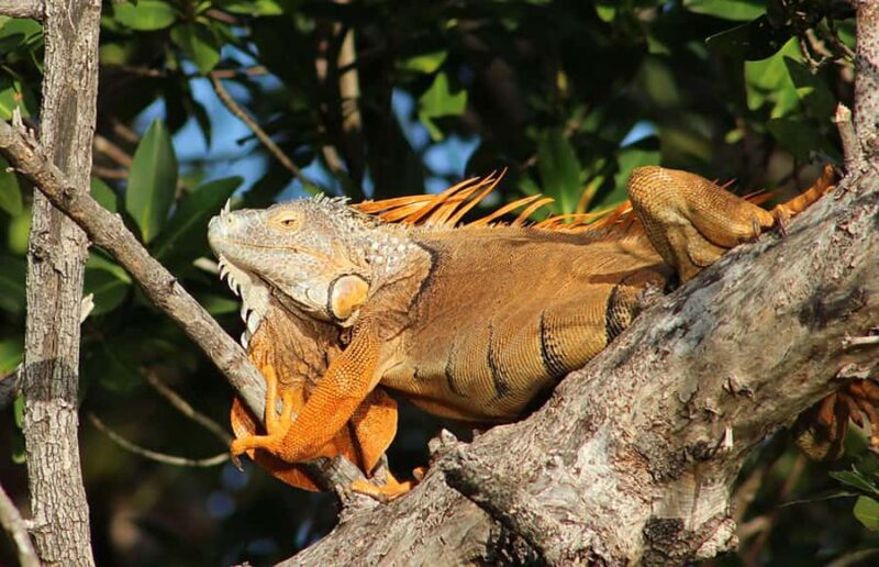 2 Hour Private Eco-Tour - What to Bring for a Comfortable Trip