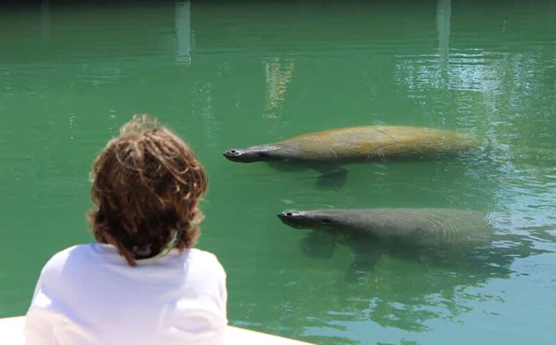 2 Hour Private Eco-Tour - Experience Quality with KeyZ Charters